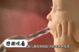为什么包裹胎儿的叫羊水，而不是马水，牛水呢？