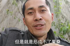 果树还有“公母”之分？多年种植只见花，不见果，原来这货是公的视频封面