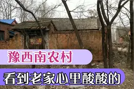 实拍豫西南农村，看到老家的样子心里酸酸的，好想大哭一场视频封面