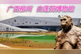 广西柳州白莲洞博物馆，高大上建筑，展品丰富，有会动会叫的恐龙视频封面