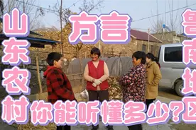 山东农村方言:鲁南地区农村家长里短！试试你能听懂多？视频封面