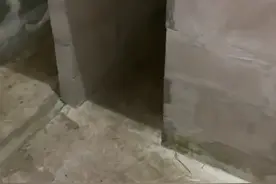 喝酒回家晚了不给开门，今晚和兄弟一起睡！狗子都知道给我留位子视频封面