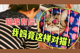 千万别让父母养猫！他们会想尽办法和你争夺猫咪的爱！视频封面