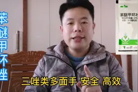 苯醚甲环唑：多面手杀菌剂，安全高效，用前注意4件事#剪映福利#