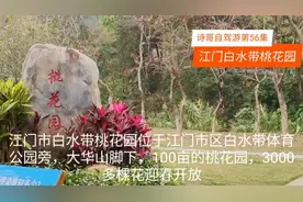 正月十九，江门白水带桃花园因疫情封锁不给进，诗哥带你进桃花源