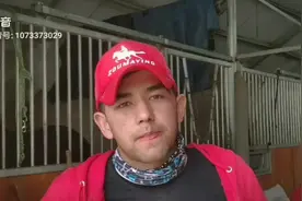 专业骑手告诉你走马和跑马的区别