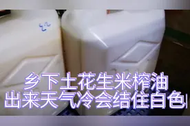 乡下种的土花生榨油出来放保鲜冷库10℃花生油会结住成白色的！视频封面