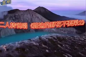 二人转说唱《路边的野花不要采2》，内容精彩，请欣赏！视频封面