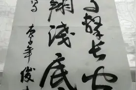 一樽墨趣书法欣赏视频封面