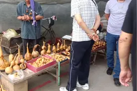 市场葫芦小摊，三五块的葫芦摇身一变价值翻10倍，还挺好玩