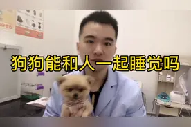 狗狗那么乖，跟人一起睡觉可以吗
