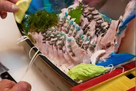 日本街边小吃  现抓的拿破仑鱼做生鱼片 造型很别致