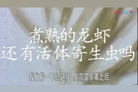煮熟的龙虾有寄生虫吗