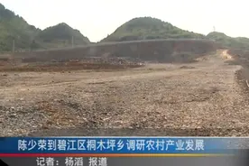 陈少荣到碧江区桐木坪乡调研农村产业发展视频封面