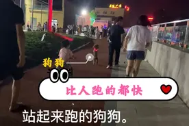 公园偶遇一条站立的狗狗，冰冰赶紧追上去看稀奇，网友：真神奇