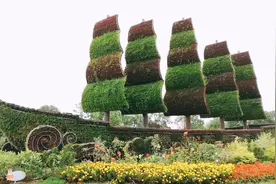 一个很多合肥人都没去过的地方，它是芦苇的海洋，运动休闲的天堂视频封面