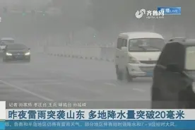 30日晚雷雨突袭山东，大风四起暴雨如柱，枣庄市区行道树频频折断视频封面