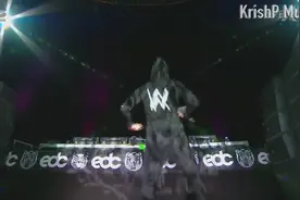 Alan Walker“雏菊”电音嘉年华高潮剪辑！艾伦11月确认中国行程视频封面