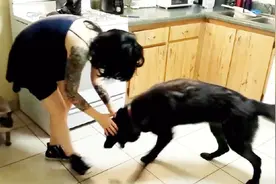 美女刚回家，大黑狗就冲过来抱着，真是太乖巧了！视频封面