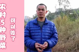 农村山上5种野菜可以吃了，爱吃野菜的不要错过，错过再等一年视频封面