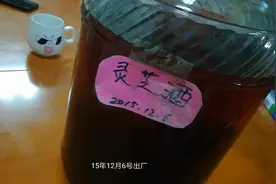 网友们15年泡的苓芝酒还能喝吗？昨天搞卫生发现宝贝了。视频封面