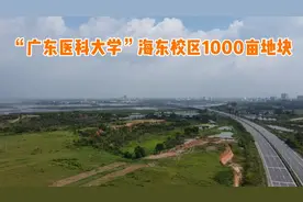 航拍湛江广东医科大学新校区地块，面朝大海，规划设计高端大气视频封面