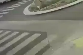 梦里装车了视频封面