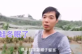 冬天快来了，青蛙陆续开始冬眠了，顺子给青蛙做保暖措施视频封面