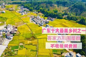 实拍广东十大最美乡村之仙坑古村，美如油画还不收费，它能火吗？视频封面