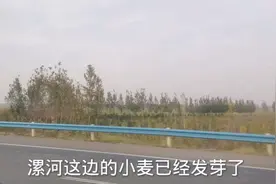 信阳到郑州一路都是一望无际的大平原。难怪每年粮食产量那么高！