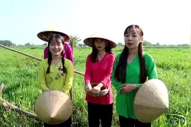 - 越南西部美食渔家人系列 -素菜炒豆腐！