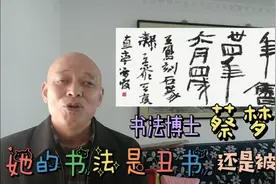 清华书法博士蔡梦霞的书法到底是写丑了还是被骂丑了视频封面