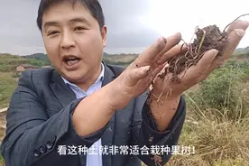 四川种植技术员，教大家分碱性和酸性土，什么样的土适合栽种果树