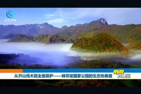 从开山伐木到全面保护——神农架国家公园的生态协奏曲视频封面