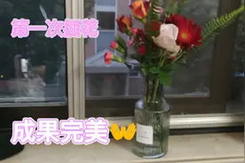 第一次插花成果完美；不过84消毒液也能养花吗？快给我科普科普。视频封面