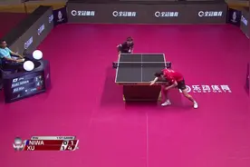 许昕泥瓦谁更浪？许昕用一个4：0诠释了这一切视频封面