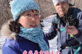 东北之宝——冻（冬）青视频封面