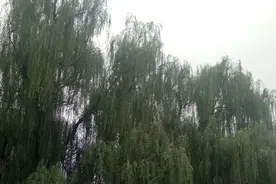 浐河是长安八水之一，发源那里？听三秦给咱说。视频封面