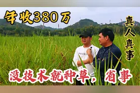 农民没有种植技术，就将600亩地全部种草，不用管理还年收380万视频封面