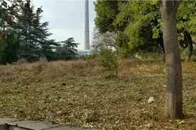 大唐淮北发电厂:共姬古墓，省级文保视频封面