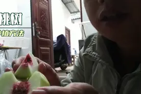 在网上购买到好吃的桃子，可以用这种方法育苗，种桃子树很简单的