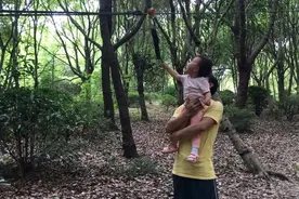 歆歆在公园里遇到了少年户外队，看看他们都在干嘛？