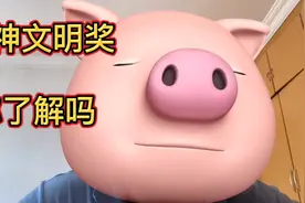体制内朋友们，精神文明奖你了解吗？视频封面