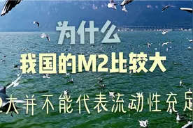 为什么我国的M2比较大？M2大不能代表流动性充足视频封面