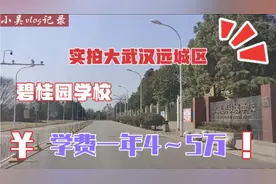 实拍武汉远城区，地铁小镇旁学校，一年学费4～5万，有钱人才能上视频封面