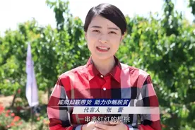 咸阳电视台主持人张蕾助力三农 为泾阳樱桃代言视频封面