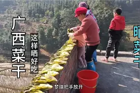跟着广西婆婆这样做梅菜干,放上一年都不会坏