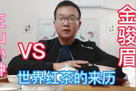 世界红茶的来历  金骏眉和正山小种的区别及关系。喝茶看口袋口感视频封面