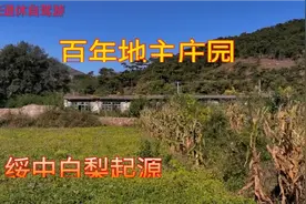 辽宁绥中有一个百年地主庄园，白家大院，传说是绥中白梨的起源。视频封面