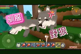 迷你世界带你们一起驯服野狼组建属于自己的旺旺队视频封面